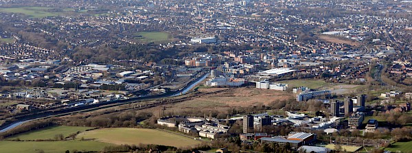 Health & Safety Consultant in Colchester